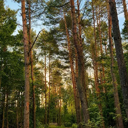 Nad Lita Kajaki Jezioro Tatil Evi Bledowo (Nowy Dwor Mazowiecki)
